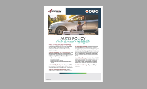 Auto Guard Flyer