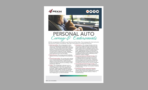 Auto Coverage and Endorsements Flyer 3