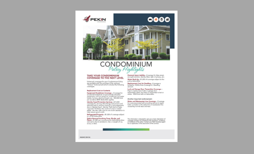 Condo  Flyer 1
