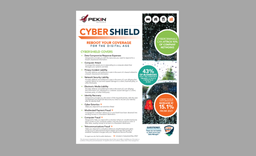 Cyber Security Flyer Carwash