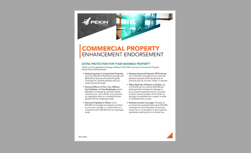 4073 Commercial Property Enhancement Flyer