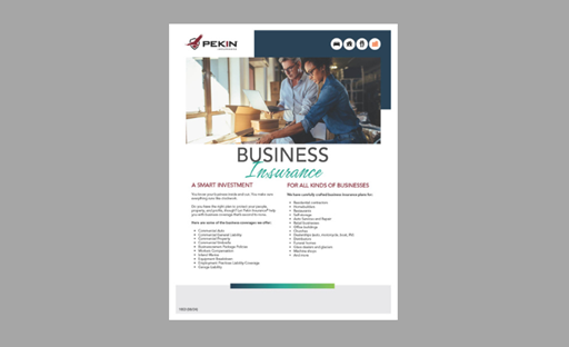 Business Insurance  Flyer 1