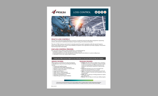 4086 Loss Control Flyer