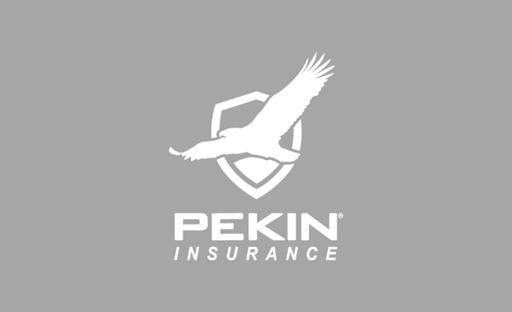 Secondary Logo White