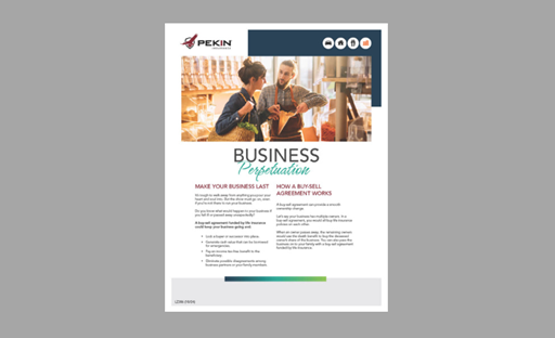 LZ386 Business Perpetuation