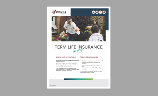 LZ319 Term Life to 95