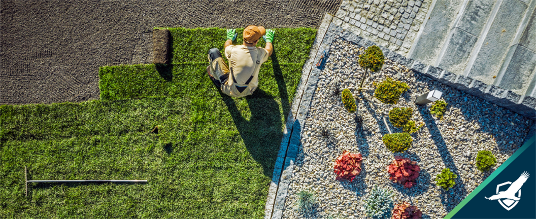 Landscaper laying sod