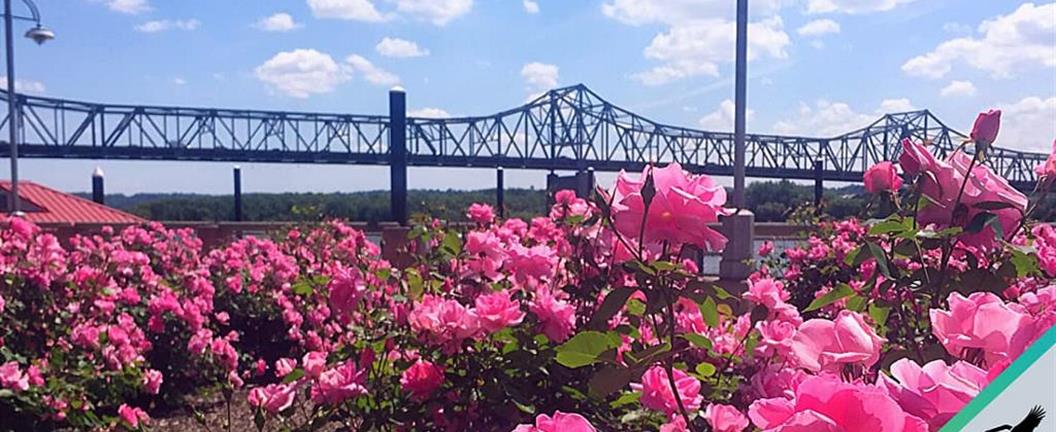 Pekin Insurance Postcard