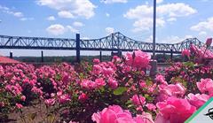 Pekin Insurance Postcard